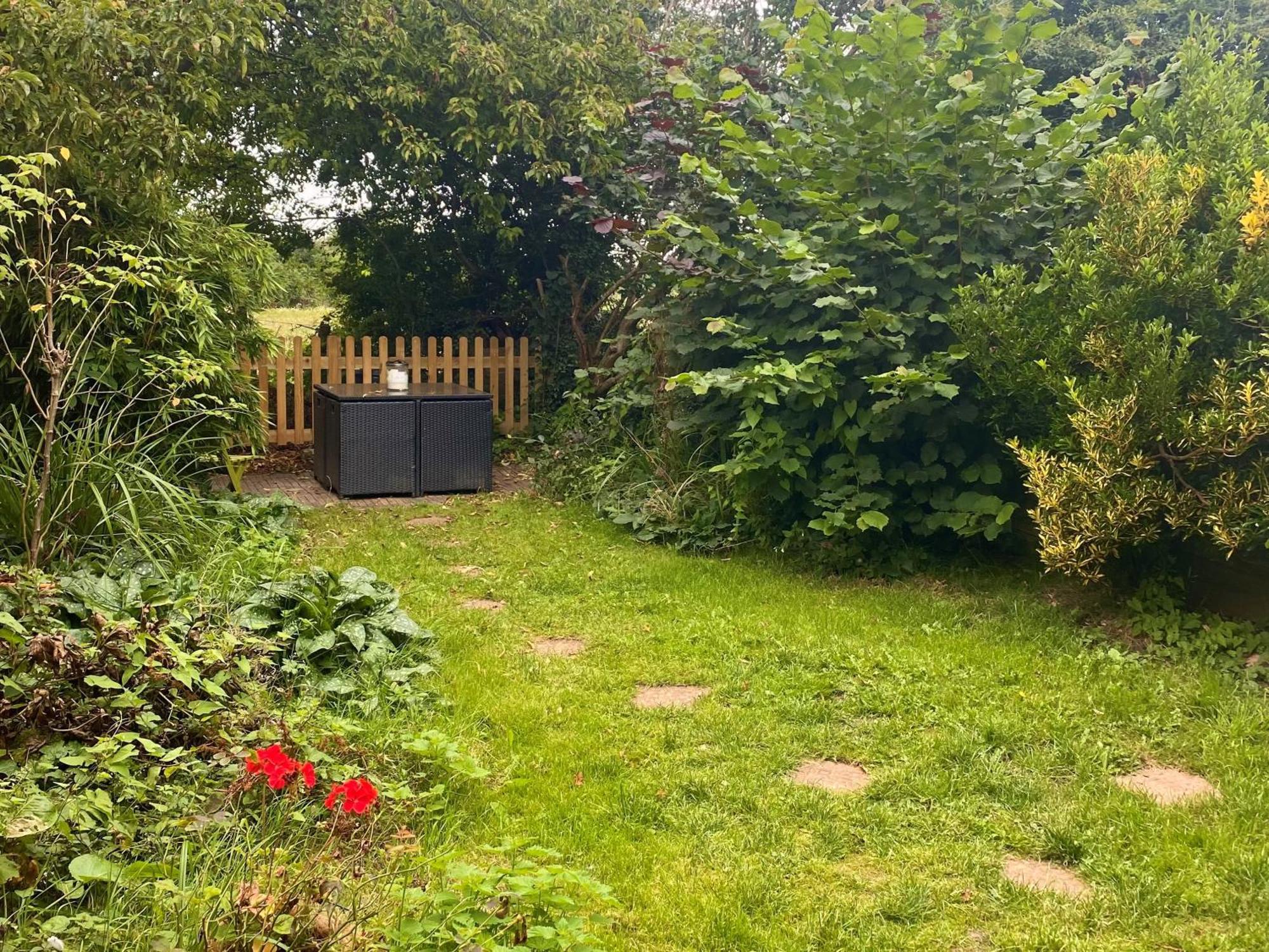 Bumblebee Cottage - Cosy Cottage In Area Of Outstanding Natural Beauty 헤멜헴스테드 외부 사진